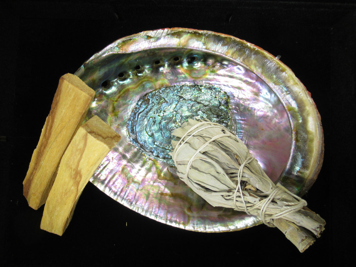 Abalone Shell Set w 3 Inch Mini Sage + 2 Palo Santo Sticks Multi Color