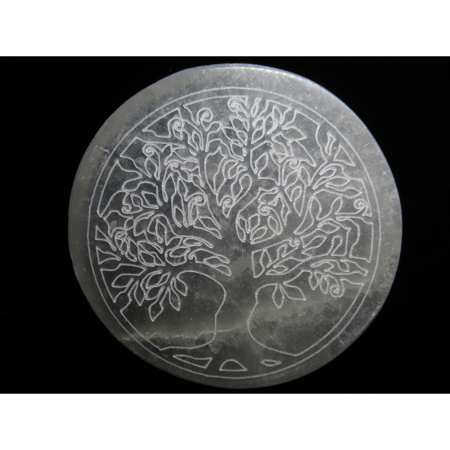 Selenite Medium Tree of Life Charging Plate Polished White 4x4 X .75